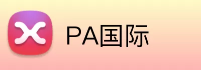 PA国际 Logo
